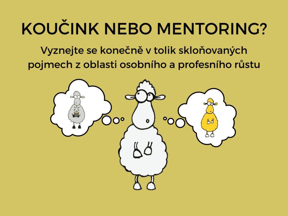 Pěstuj neuron - Koučink a mentoring - Vyznejte se konečně v pojmech z osobního rozvoje